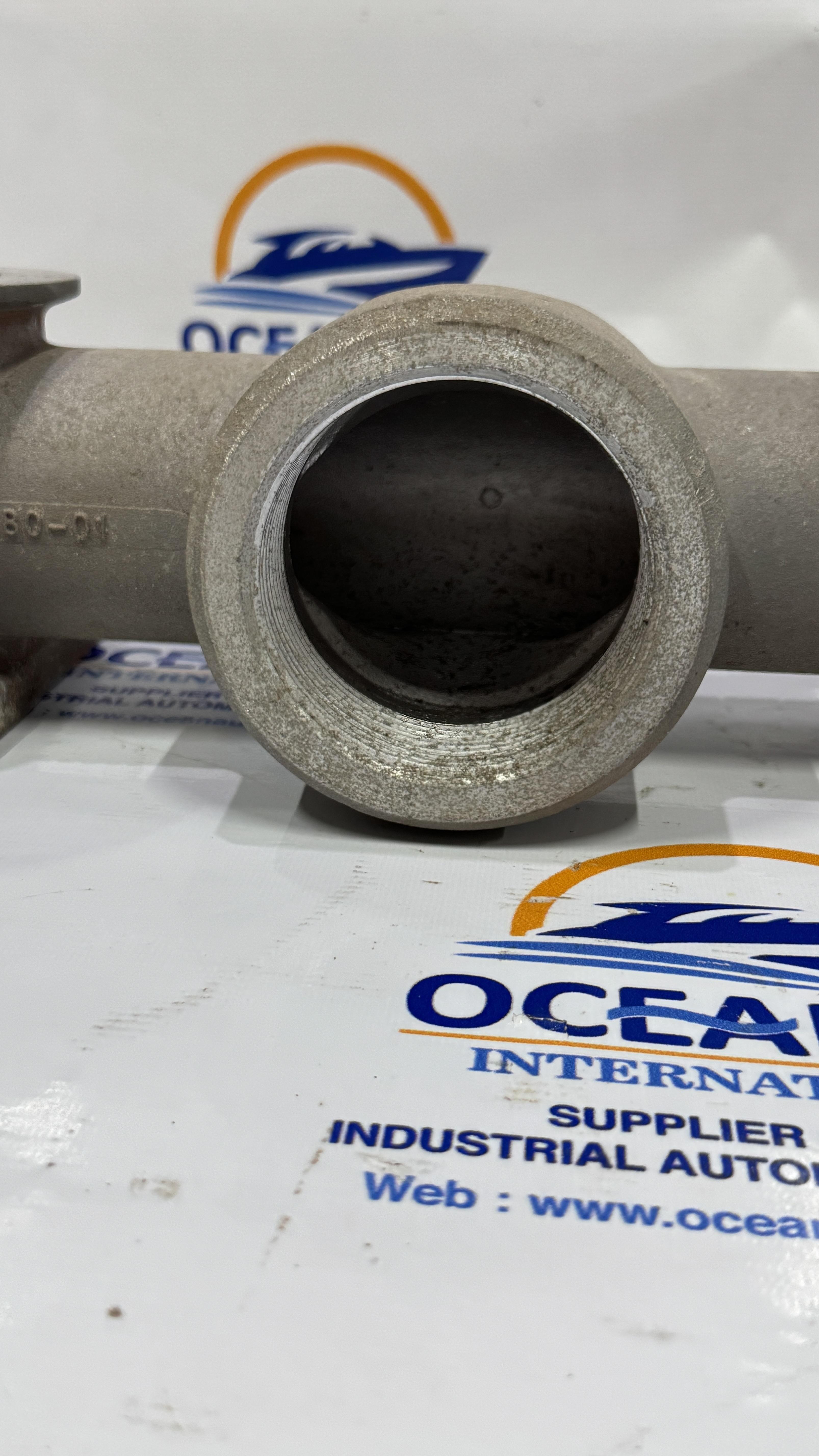 15-5080-01 Wilden Discharge Manifold for M15 PUMP